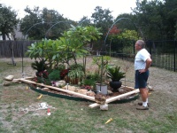 2009/11(Nov)/SETTING UP GREENHOUSE/2009-11-29-01 GREENHOUSE.jpg